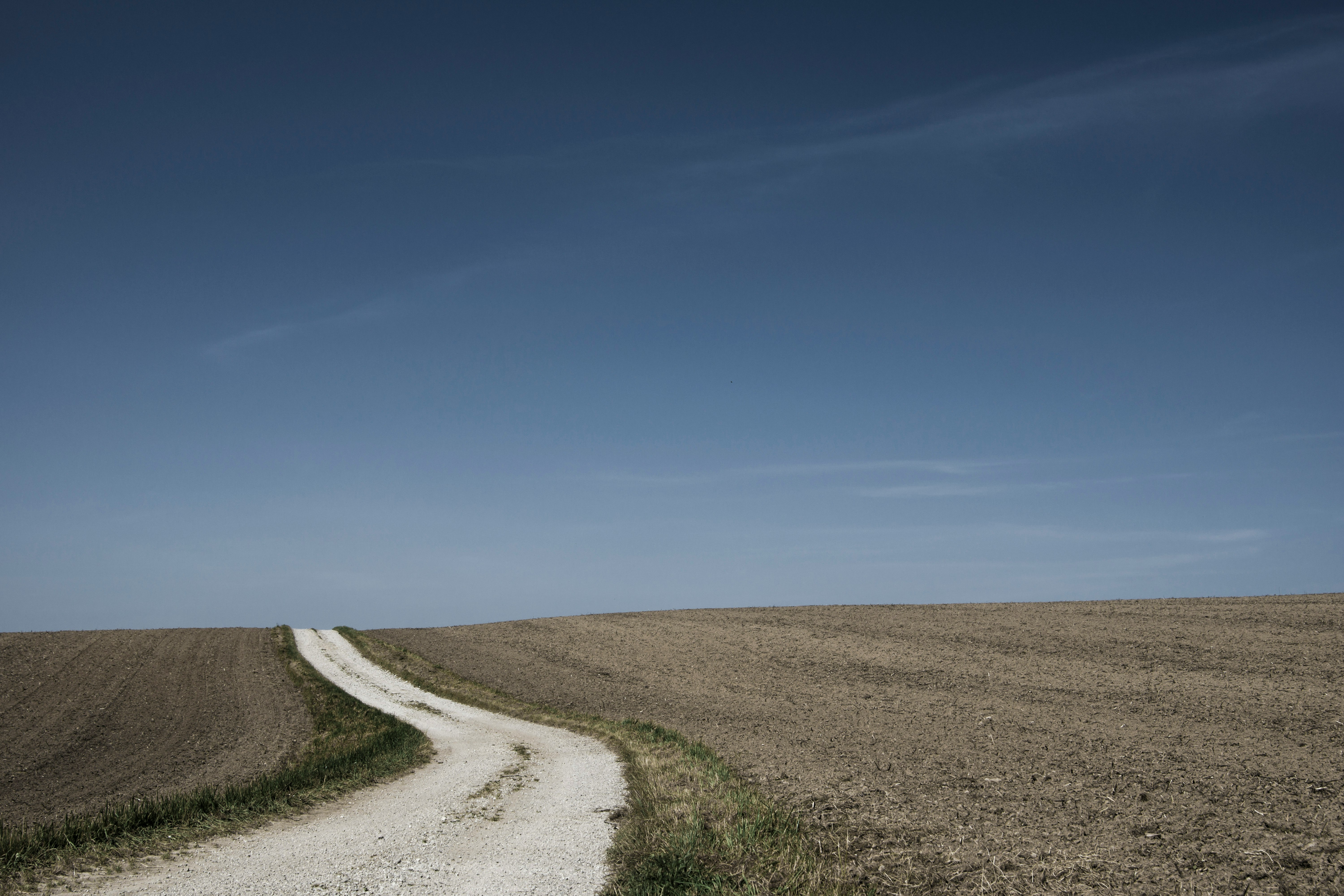 narrow road in between soil grounds